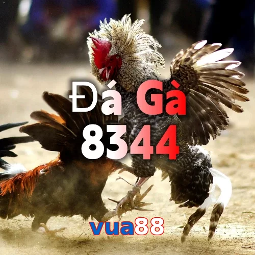 vua88